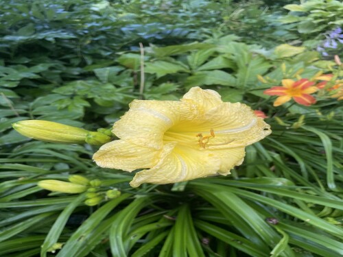 IMG_0068d81f9331df91287e.jpeg