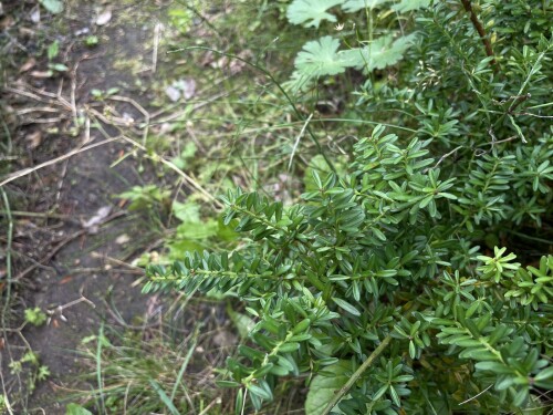 IMG_5044-26aa548e41766652f.jpeg