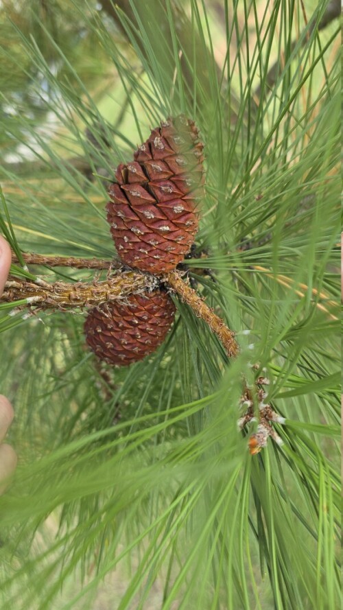 10000573622b4a30d565983bfe.jpg